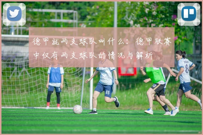 德甲就两支球队叫什么：德甲联赛中仅有两支球队的情况与解析