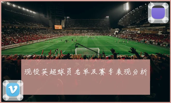 现役英超球员名单及赛季表现分析