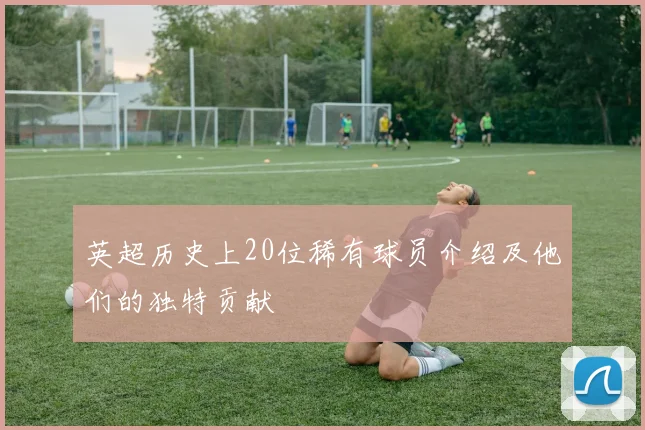 英超历史上20位稀有球员介绍及他们的独特贡献